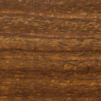 Bison Brown