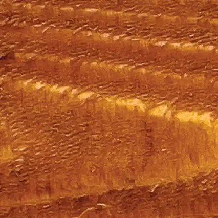 Cedar
