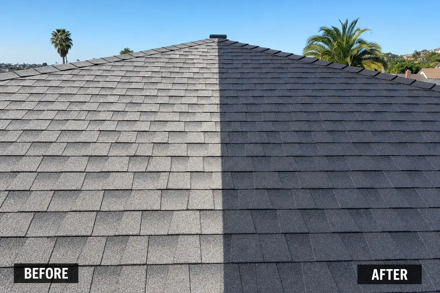 Roof shingles before and after rejuvenation treatment