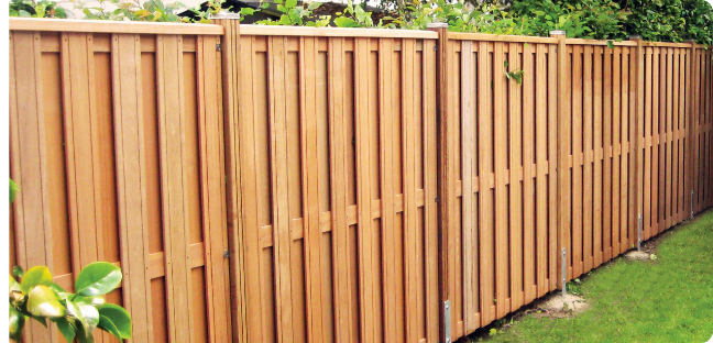 Wood Fence Painting