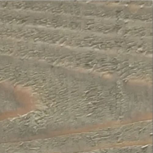 eucalyptus color eucalyptus color