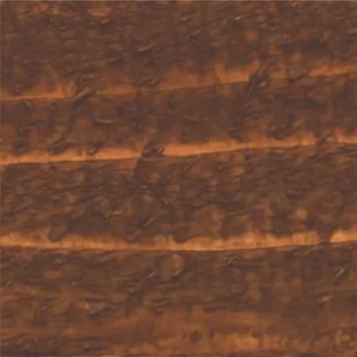 palomino color palomino color