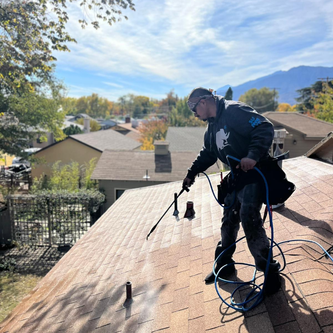 Roof Rejuvenation